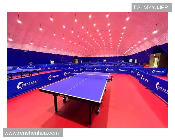 聚焦乒乓球：探索成都乒乓球队的训练节奏与竞技风采