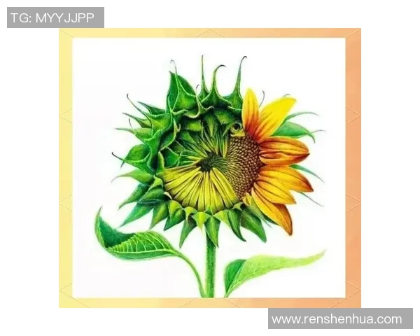 黄军独家分享篮球心得与技巧助你提升球技的全面指南 黄军独家分享篮球心得与技巧助你提升球技的全面指南